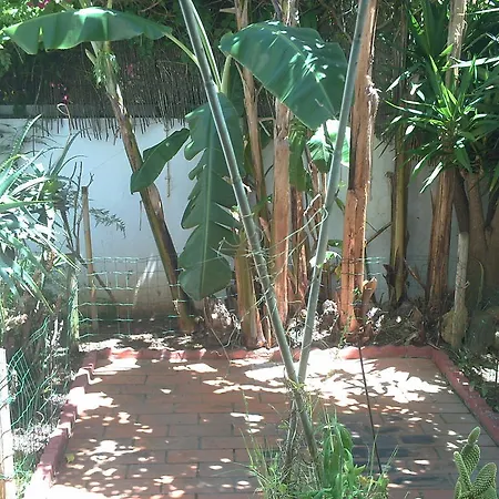 Formosa Olhão